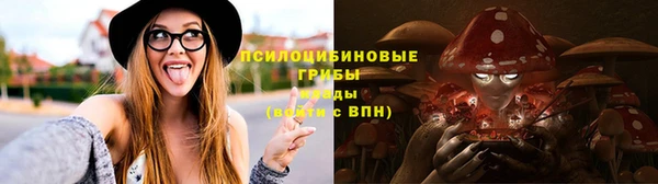 a pvp Арсеньев