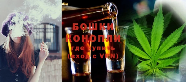 шишки Баксан