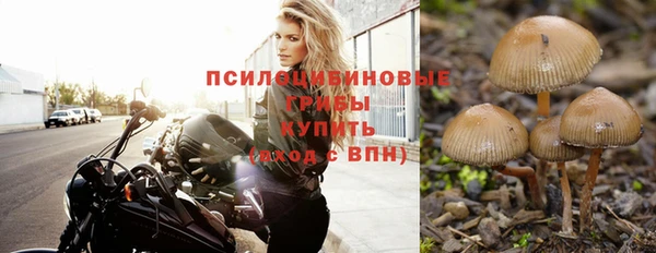 MDMA Premium VHQ Аркадак
