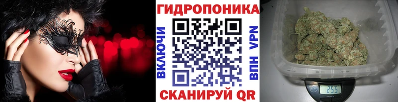 omg   Голицыно  Канабис планчик 